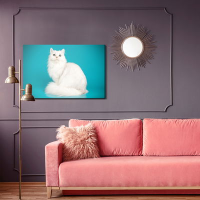 Ljuddämpande tavla - White cat on a blue