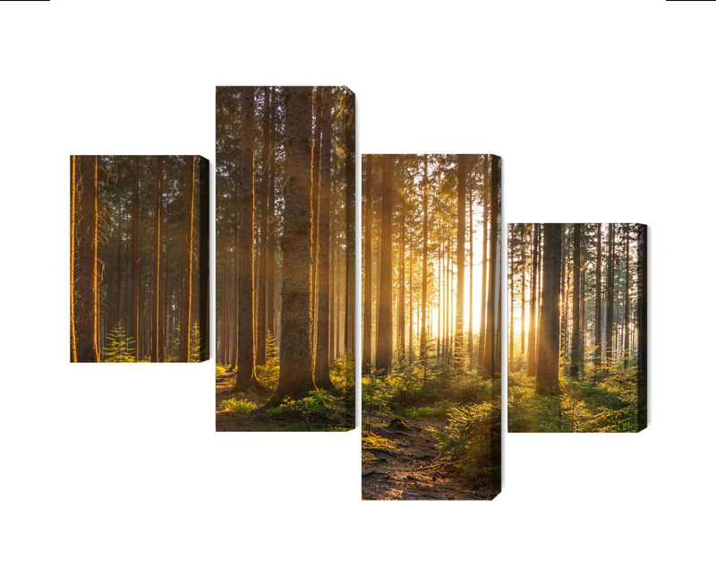 Ljuddämpande tavla - Sunset in the forest