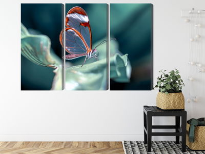 Ljuddämpande tavla - Glass-winged butterfly close