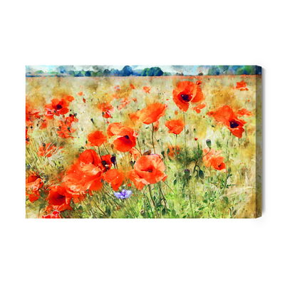 Ljuddämpande tavla - Watercolor poppies