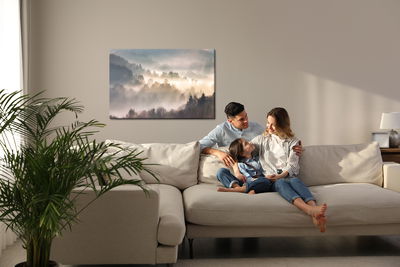 Ljuddämpande tavla - Mist in forest with sunbeam