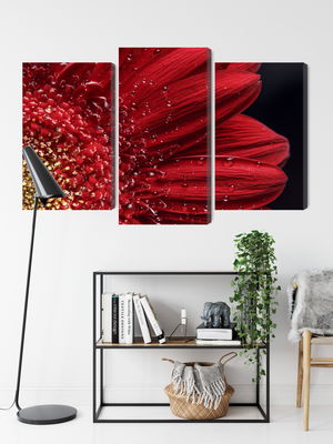 Ljuddämpande tavla - Flower petals on a macro