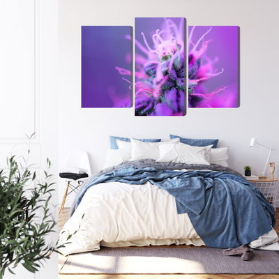 Ljuddämpande tavla - Macro plant on a pink-purple