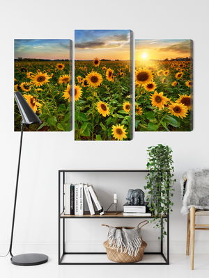 Ljuddämpande tavla - Sunflower field at sunset 3d