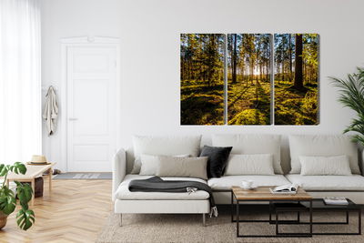 Ljuddämpande tavla - Morning sun rays