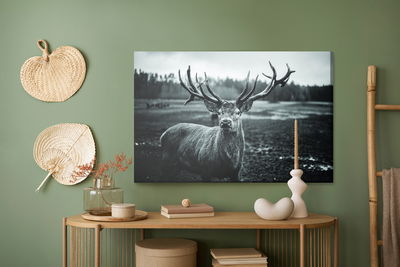 Ljuddämpande tavla - Black and white deer