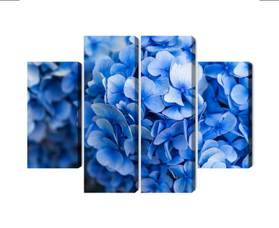 Ljuddämpande tavla - Blue hydrangea flowers close
