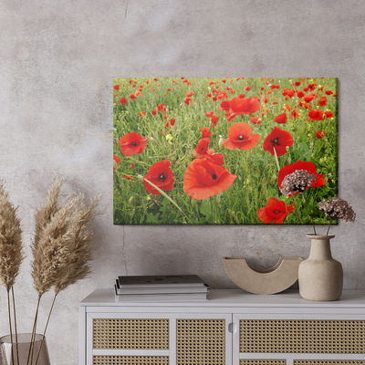 Ljuddämpande tavla - Red poppies in the meadow