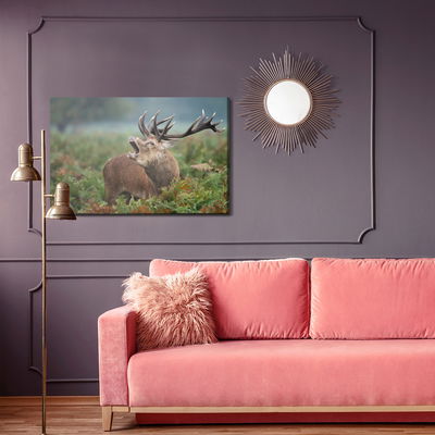 Ljuddämpande tavla - Adult deer in the rut