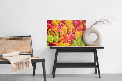 Ljuddämpande tavla - Leaves in autumn colors