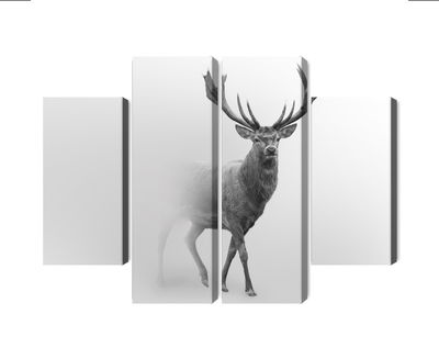 Ljuddämpande tavla - A stately deer in the fog