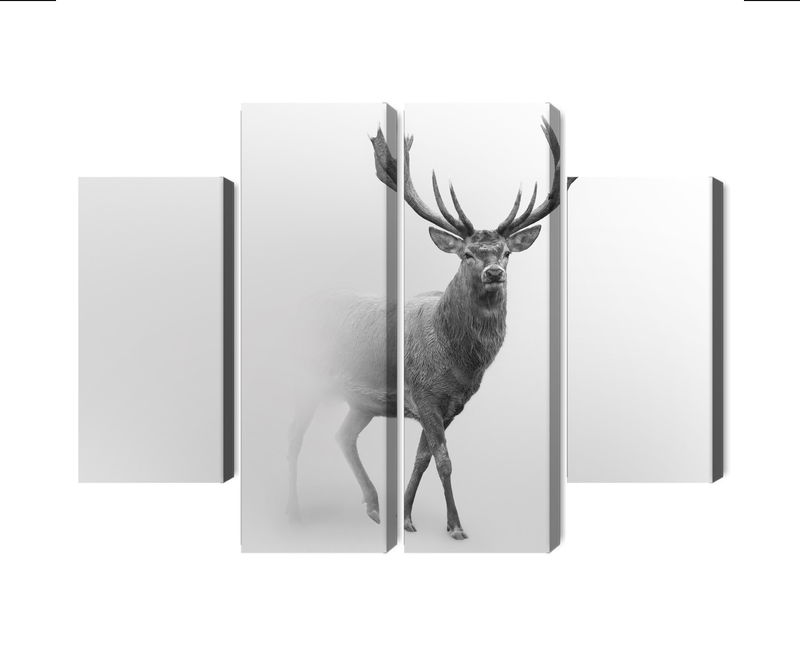 Ljuddämpande tavla - A stately deer in the fog