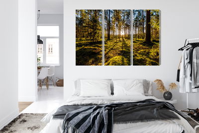 Ljuddämpande tavla - Morning sun rays