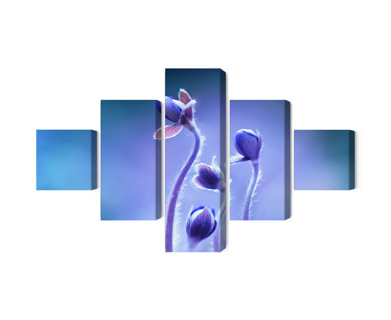 Ljuddämpande tavla - Delicate flowers on a macro