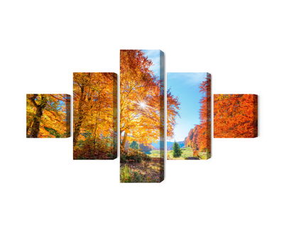 Ljuddämpande tavla - Colorful autumn trees