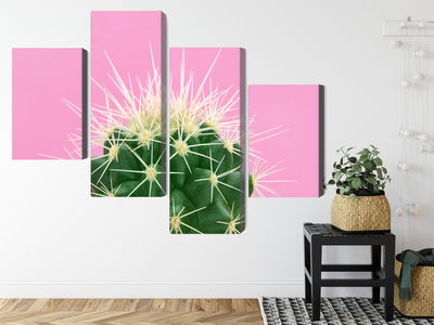 Ljuddämpande tavla - Cactus on a pink background