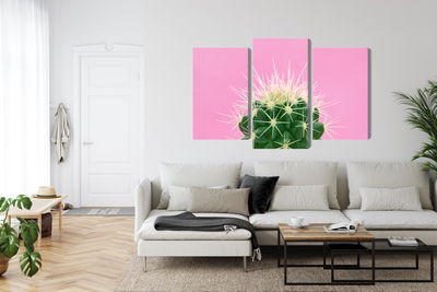 Ljuddämpande tavla - Cactus on a pink background