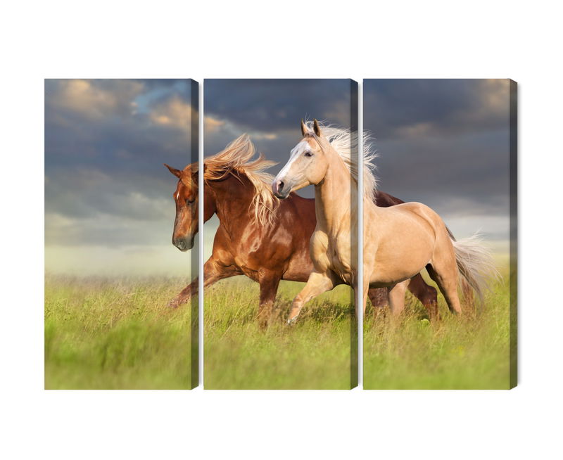 Ljuddämpande tavla - Horses galloping in a 3d