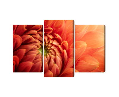 Ljuddämpande tavla - Orange chrysanthemum