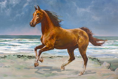 Ljuddämpande tavla - Horse, sun and sea