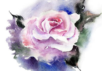 Ljuddämpande tavla - Beautiful rose painted