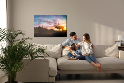 Ljuddämpande tavla - Deer at sunset