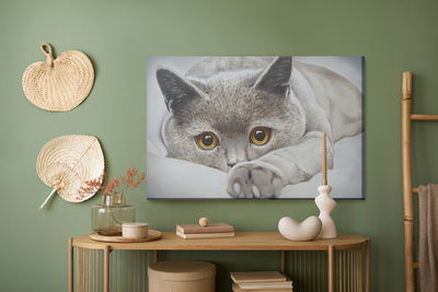 Ljuddämpande tavla - Gray cat like painted
