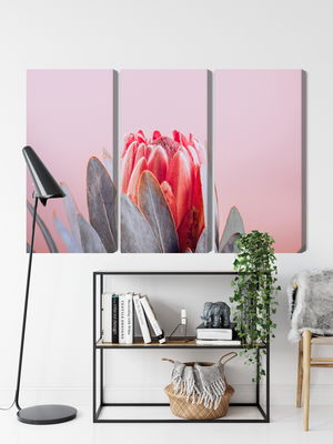 Ljuddämpande tavla - Flower of the royal protéa