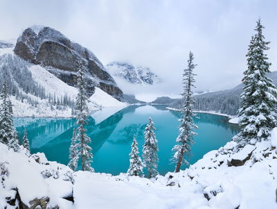 Ljuddämpande tavla - Moraine Lake in winter