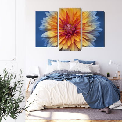 Ljuddämpande tavla - Chrysanthemum flower close