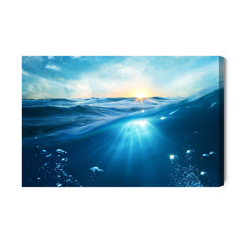 Ljuddämpande tavla - The underwater world