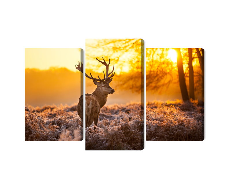 Ljuddämpande tavla - Deer in the forest at sunset