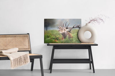 Ljuddämpande tavla - A roaring deer