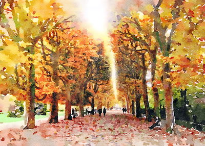 Ljuddämpande tavla - Autumn forest painted