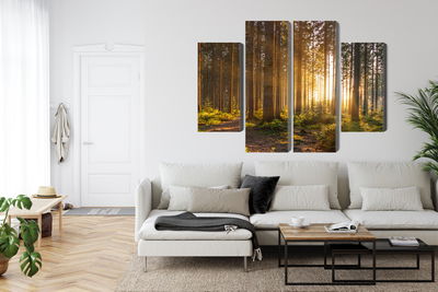 Ljuddämpande tavla - Sunset in the forest