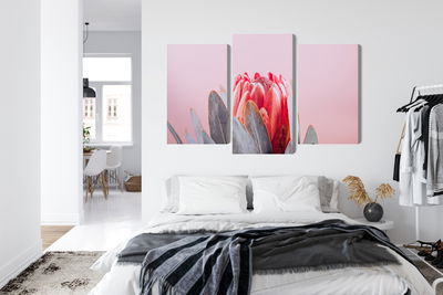 Ljuddämpande tavla - Flower of the royal protea