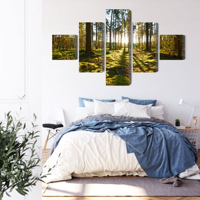 Ljuddämpande tavla - Forest landscape with sunset