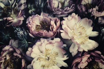 Ljuddämpande tavla - Peonies in dark colours