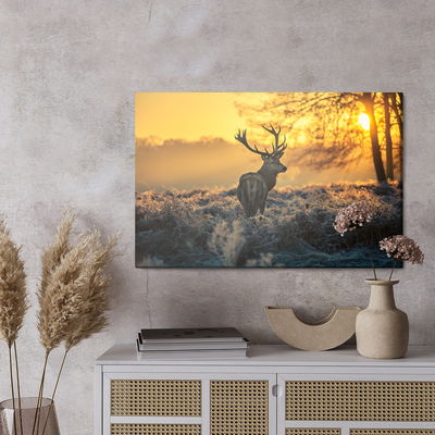 Ljuddämpande tavla - Deer in the morning