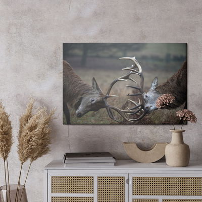 Ljuddämpande tavla - Fighting deer