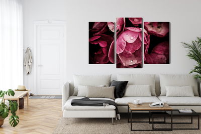 Ljuddämpande tavla - Peony flowers close up 3d