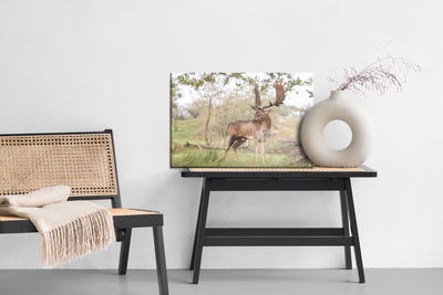 Ljuddämpande tavla - Adult deer with magnificent