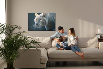 Ljuddämpande tavla - Beautiful white tiger