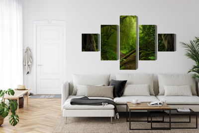 Ljuddämpande tavla - Path in the tropical forest