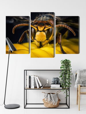 Ljuddämpande tavla - Wasp on a macro scale