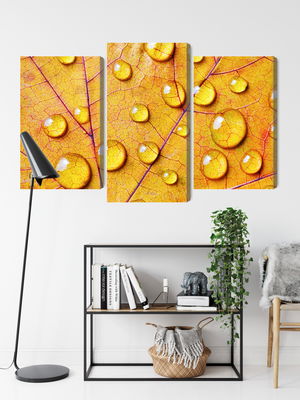 Ljuddämpande tavla - Water drops on an autumn