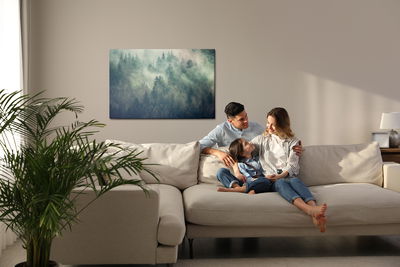 Ljuddämpande tavla - Misty landscape with fir