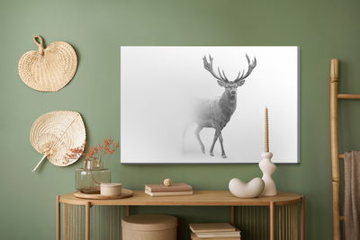 Ljuddämpande tavla - Deer in black and white