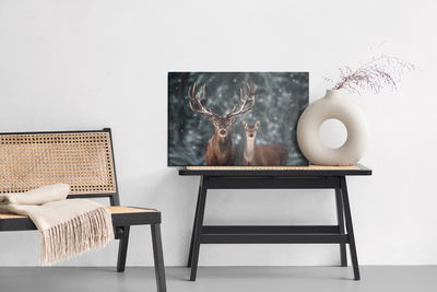 Ljuddämpande tavla - Deer and deer in winter