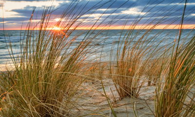 Ljuddämpande tavla - Sunrise on the beach of rügen